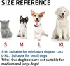 Hundeschuhe Pfotenschutz Winter, 4pcs Schneestiefel Hunde, Produktbild-Vorschau 4