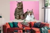 MuchoWow® Poster Katze - Rosa - Pouf - Mädchen - Kinder - Produktbild-Vorschau 3