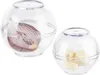 Relaxdays Zwiebeldose 2er Set, Frischhaltekugeln Knoblauch Produktbild-Vorschau 1