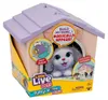 Cucciolo LITTLE LIVE PETS con casa 26617 Anteprima dell’immagine prodotto 6