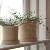 Two potted plants on a windowsill. Produktbild-Vorschau
