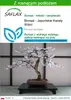 SAFLAX - Bonsai - Japońskie Kwiaty Wiśni - 30 Nasiona - Z Podgląd zdjęcia produktu 1