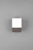 Trio - Wandleuchte AVON - Anthrazit - 0x0x16 cm Produktbild-Vorschau 24