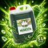 Rainbow Slush Sirup Waldmeister 5 Liter 1:5 AZO frei ohne Produktbild-Vorschau 10