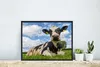 MuchoWow® MuchoWow® Gerahmtes Poster Kuh - Gras - Himmel Produktbild-Vorschau 5