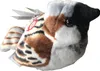Oiseau en peluche Moineau sonore - 15 cm Voir les images du produit 3