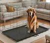 A golden retriever dog sits inside a black metal dog crate in a living room setting. Náhľad obrázku produktu