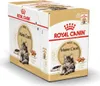 Royal Canin 9003579001202, Adult, Maine Coon, Muschel Produktbild-Vorschau 10