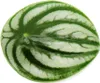 Peperomia argyreia Watermelon - pastèque poivre nain - dans Voir les images du produit 2