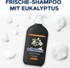 SCHAUMA Shampoo 750 ml Sports Power, 2x 750 ml Produktbild-Vorschau 6