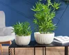 HowHomely | Sada 2 květináčů, květináč bílý - 15,6 a 14 cm Náhled obrázku produktu 7