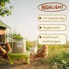 Futterautomat Hühner mit Standfüßen 2 Kg Hühnerfutter Produktbild-Vorschau 4