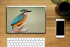 MuchoWow® Laptop Aufkleber Sticker Cover Vogel - Eisvogel - Produktbild-Vorschau 2