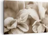 Bild auf Leinwand - Leinwandbild - Einteilig - Blumen Boho Produktbild-Vorschau 1