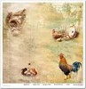 Scrapbooking-Papier Set 30×30 cm – SLS-058 Spring Produktbild-Vorschau 7