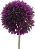 GASPER Zierlauch - Allium Violett Blütendurchmesser 6 cm - Produktbild-Vorschau 1