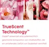 Glade Automatic Spray Nachfüller Luscious Cherry & Peony, Produktbild-Vorschau 3