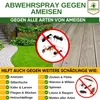 Ameisen Abwehrspray Power-Konzentrat 500 ml – Mittel gegen Produktbild-Vorschau 2