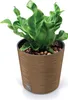 A green plant in a brown textured pot. Náhled obrázku produktu