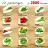 TORAF Gemüsesamen Set XXL, 2500 Samen, 12 Sorten, Garten & Produktbild-Vorschau 2