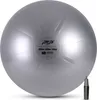 PTP CoreBall grigio acciaio 75 cm Anteprima dell’immagine prodotto 1