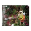 EUGY - 3D Bastelset Chamäleon Productafbeelding-voorbeeld 11