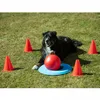PROCYON Dog Golf Set Produktbild-Vorschau 3