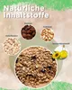 A collage of images showing ingredients for bird food, including oats, raisins, peanuts, and sunflower oil, with a central image of the finished product. Produktbild-Vorschau