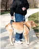 Solvit Petsafe Carelift vpředu a vzadu Náhled obrázku produktu 9