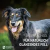 PetsNature 500ml Lachsöl Náhľad obrázku produktu 5
