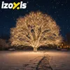 Guirlandes de Noël, 35m, 500LED, blanc chaud | Izoxis Voir les images du produit 7