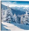 DEQORI Glasbild Echtglas 30x30 cm 'Karpatenwinter' Wandbild Produktbild-Vorschau 1
