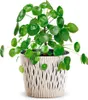 Prosperplast Blumentopf SANDY Rund Grün 18,9 cm Produktbild-Vorschau 5