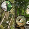 16X52 Monokular-Teleskop, HD-Fernglas für Outdoor,Kompaktes Produktbild-Vorschau 12