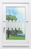 Scheibengardine Plauener Spitze - Blütezeit  (Bx H) 80cm * Produktbild-Vorschau 1