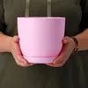 Hands holding a pink plant pot with a saucer. Anteprima dell’immagine prodotto