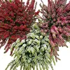 Conjunto de Calluna vulgaris (brezo común) con 6 plantas. Vista previa de la imagen del producto 2