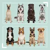 Relaxdays Futterstation Hund, 2 Hundenäpfe, Stauraum, Produktbild-Vorschau 5