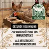 FarmLife Hühnertraum 2,5 kg - natürliches Zusatzfutter für Produktbild-Vorschau 3
