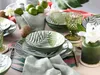 CreaTable, 25860, Tropicana green, sada tanierov 12 ks, Náhľad obrázku produktu 7