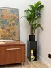 A black narrow side table with a drawer and shelf, next to a wooden cabinet and a framed poster. Náhled obrázku produktu