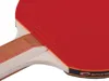 Spokey Rakety Standard, 81813 Náhled obrázku produktu 11
