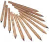 LYRA Farbstifte Farb-Riesen Skin Tones 12 Stück Kartonetui Produktbild-Vorschau 1