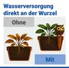 Maximex Bewässerungsspike Eule XXL, dekorative Produktbild-Vorschau 5