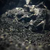 Akvarijný štrk, čierny bazalt 2–3 mm, 8 kg Náhľad obrázku produktu 10