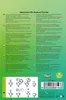 Gyokuro zielona herbata cieniowana z ekologicznych upraw w Podgląd zdjęcia produktu 7