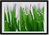 Bild - Bilderrahmen - 100 cm x 70 cm - MDF - Rahmen - Foto Produktbild-Vorschau 1