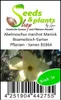 5x Abelmoschus manihot Maniok Bisameibisch Garten Pflanzen Produktbild-Vorschau 4