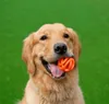 Palla Chuckit! Palla Breathe Right Fetch Palla di recupero Anteprima dell’immagine prodotto 6