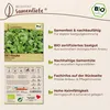 Samenliebe  Rauke Samen | Salatrauke - samenfestes  Saatgut Produktbild-Vorschau 3